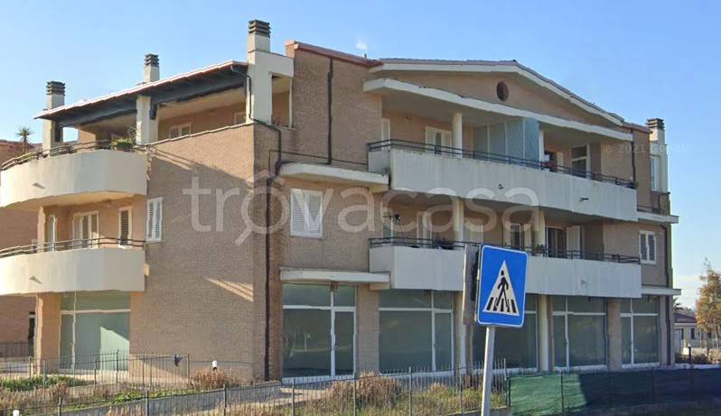 immagine annuncio 5 di 9