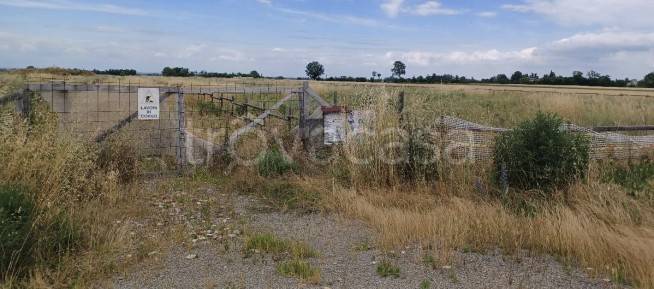 immagine annuncio 5 di 8