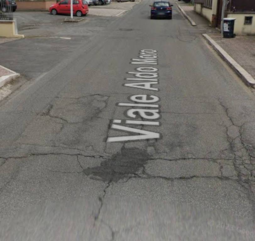 immagine annuncio 1 di 14