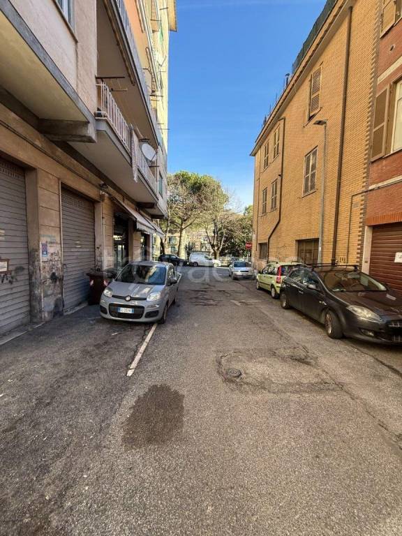 immagine annuncio 1 di 6