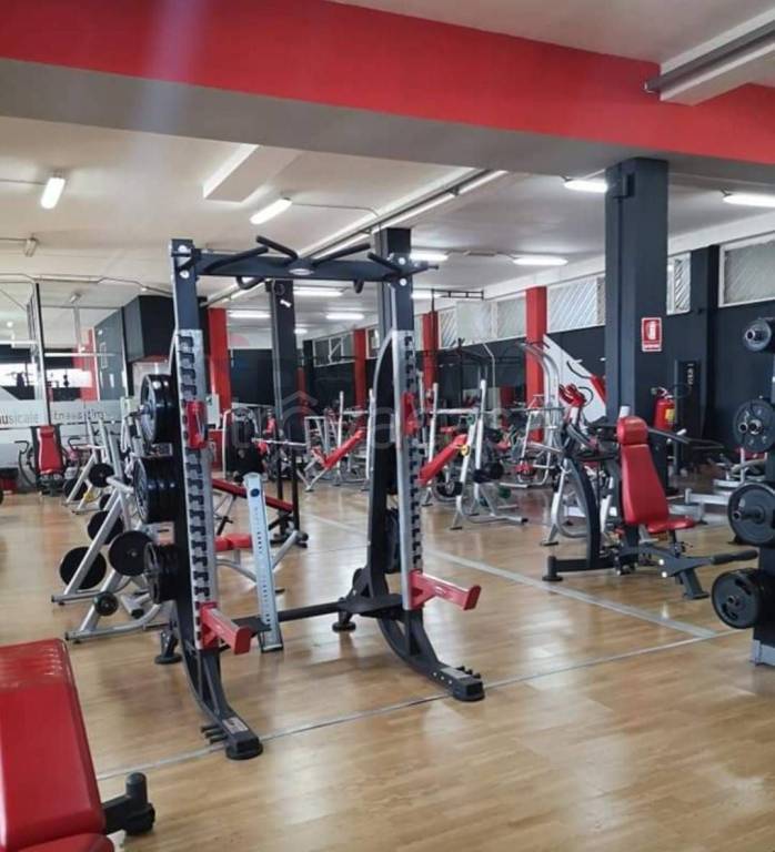 immagine annuncio 1 di 6