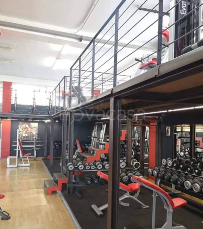 immagine annuncio 2 di 6