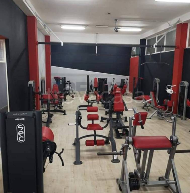 immagine annuncio 3 di 6