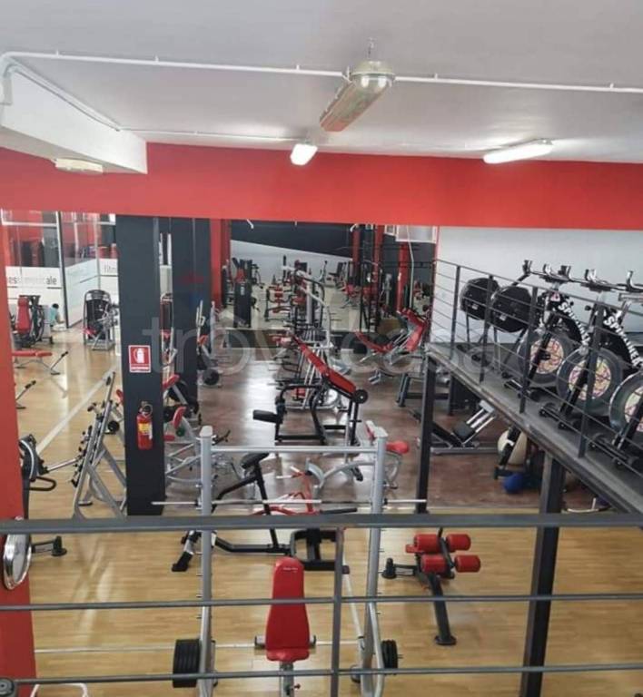 immagine annuncio 4 di 6