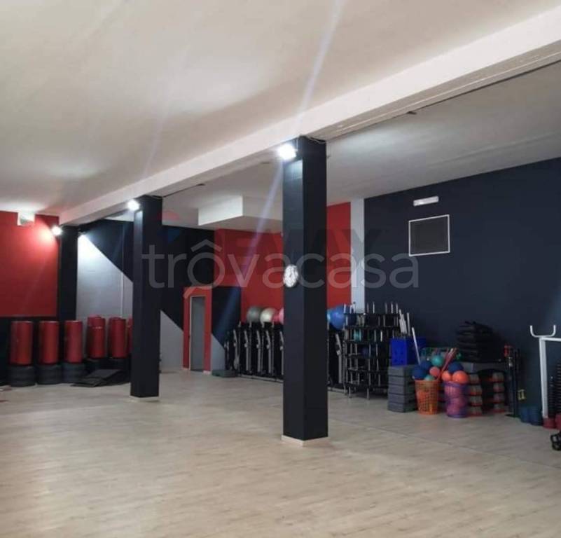 immagine annuncio 5 di 6