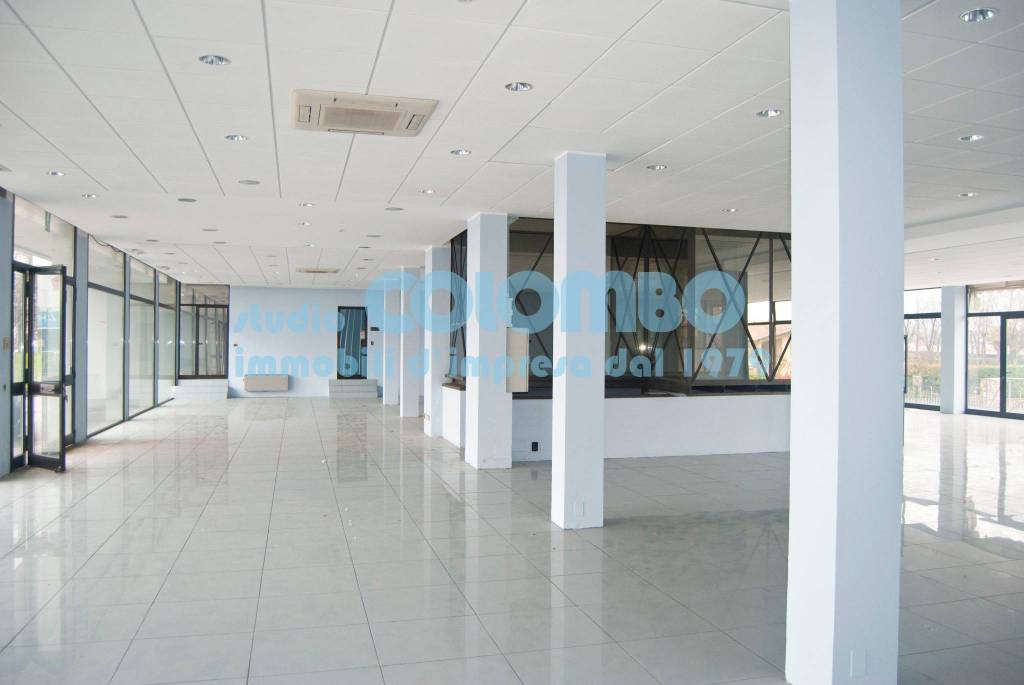 immagine annuncio 1 di 9