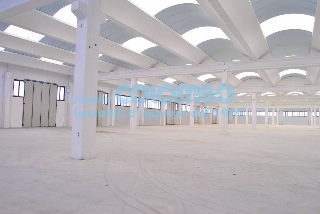 immagine annuncio 2 di 9