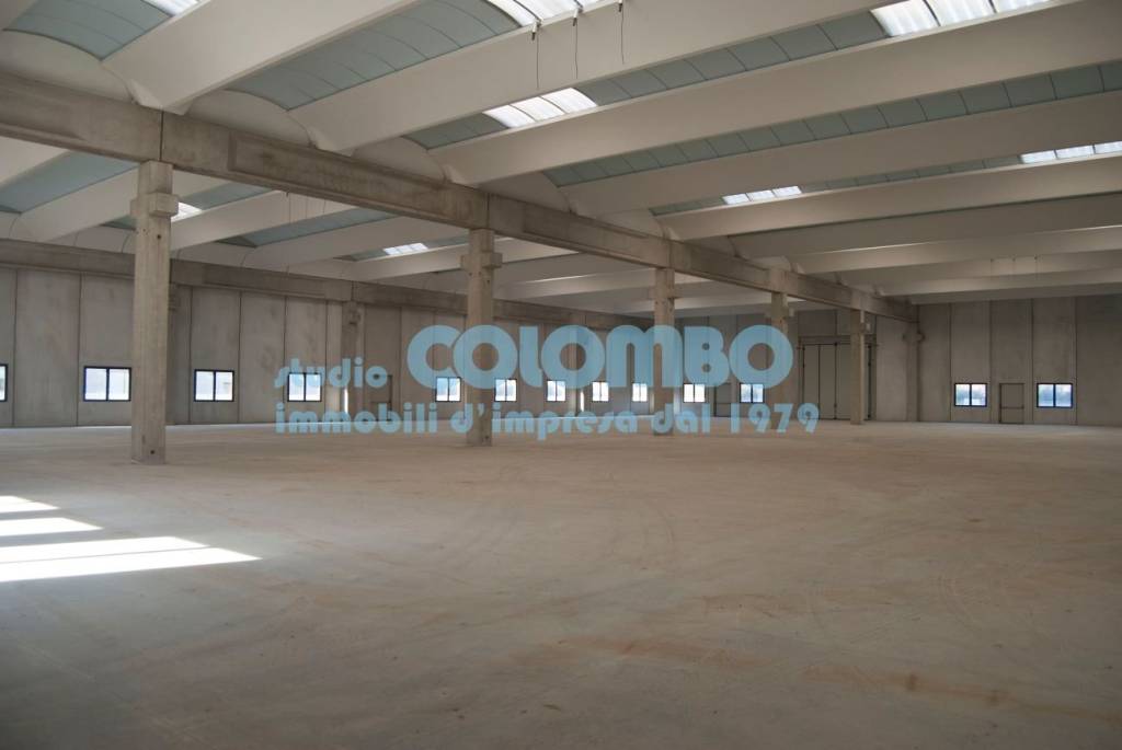 immagine annuncio 3 di 9