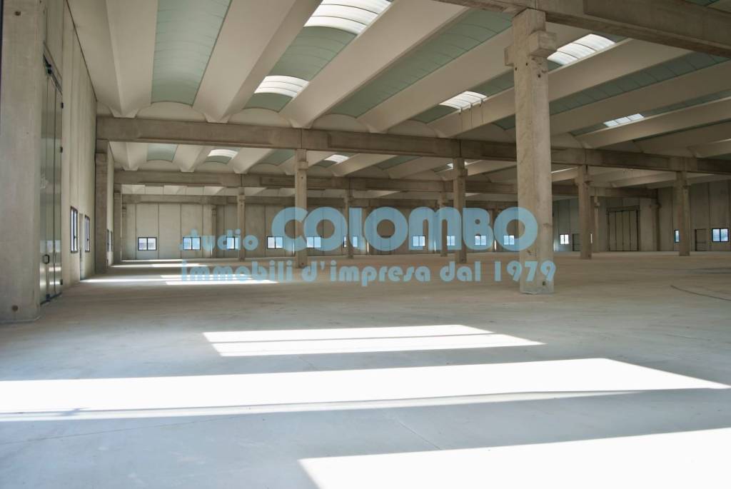 immagine annuncio 5 di 9