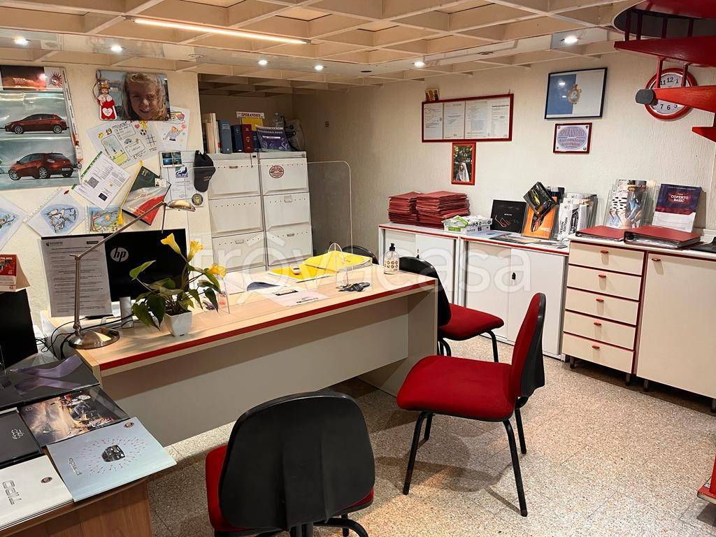 immagine annuncio 3 di 15