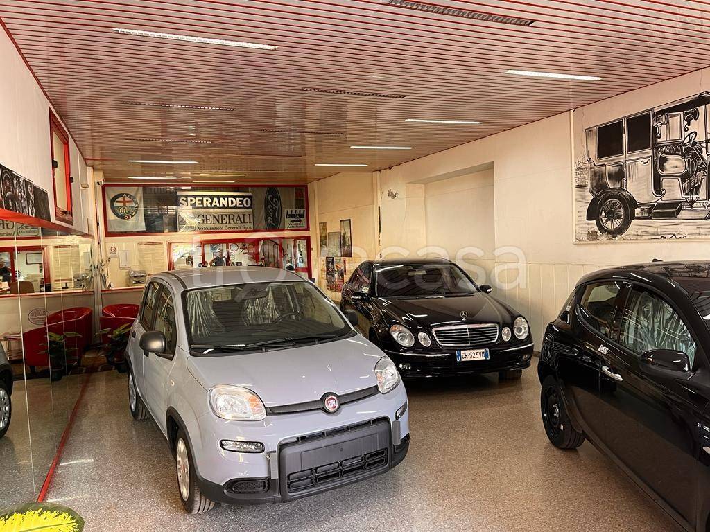 immagine annuncio 12 di 15