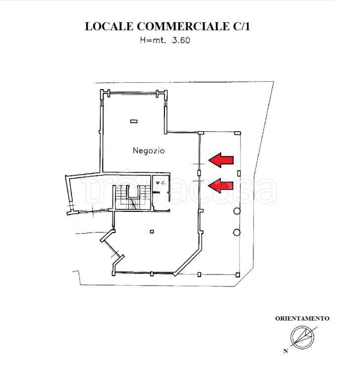 immagine annuncio 14 di 15