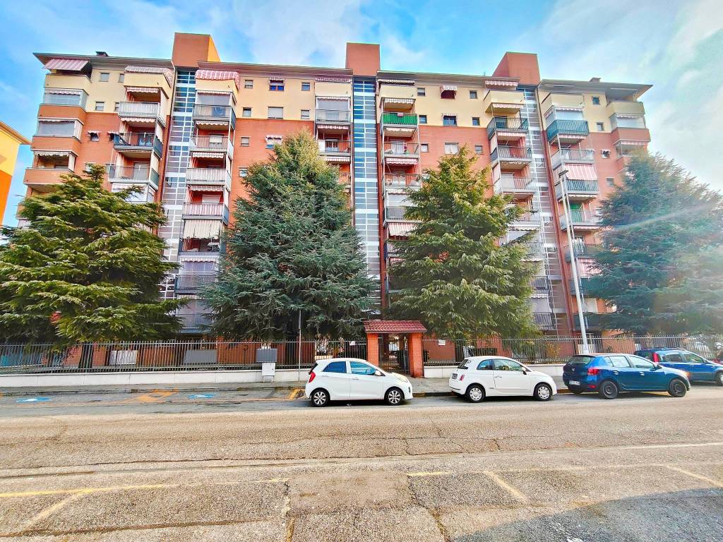 immagine annuncio 1 di 15