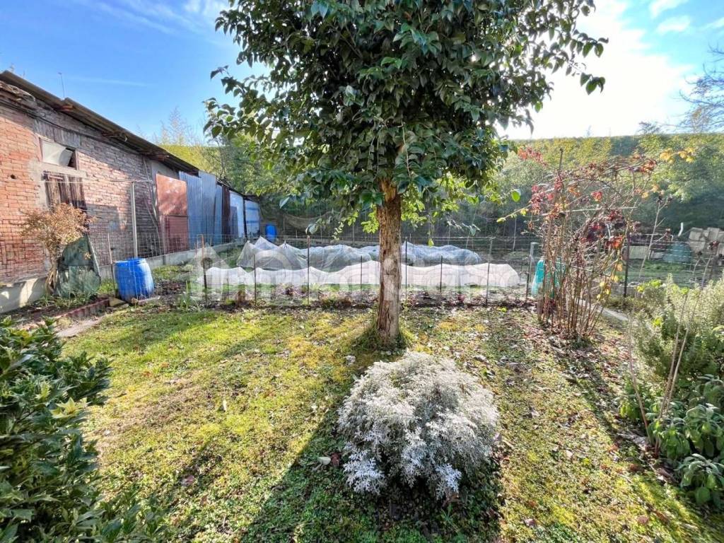 immagine annuncio 13 di 14