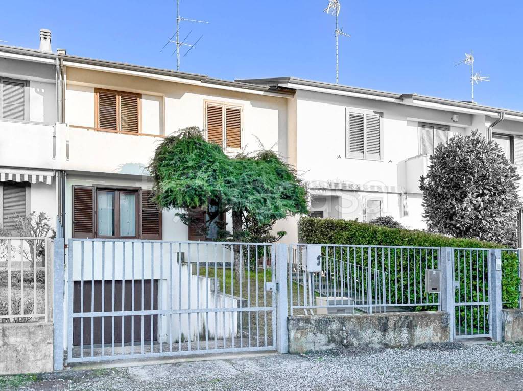 immagine annuncio 1 di 15