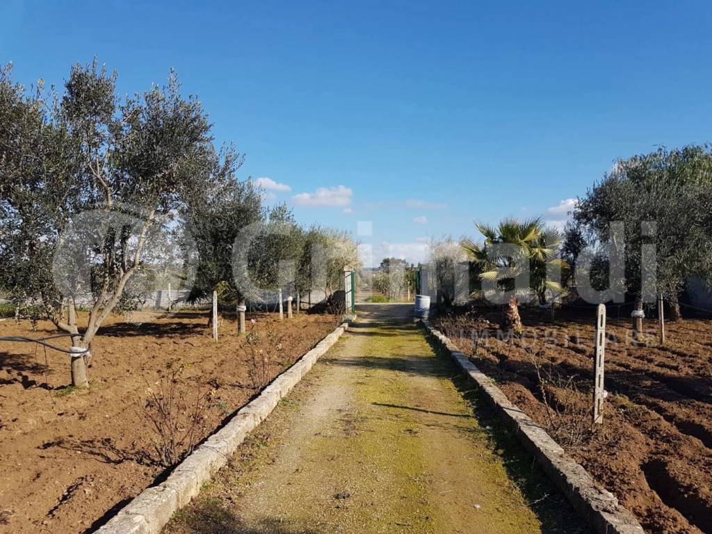 immagine annuncio 2 di 9