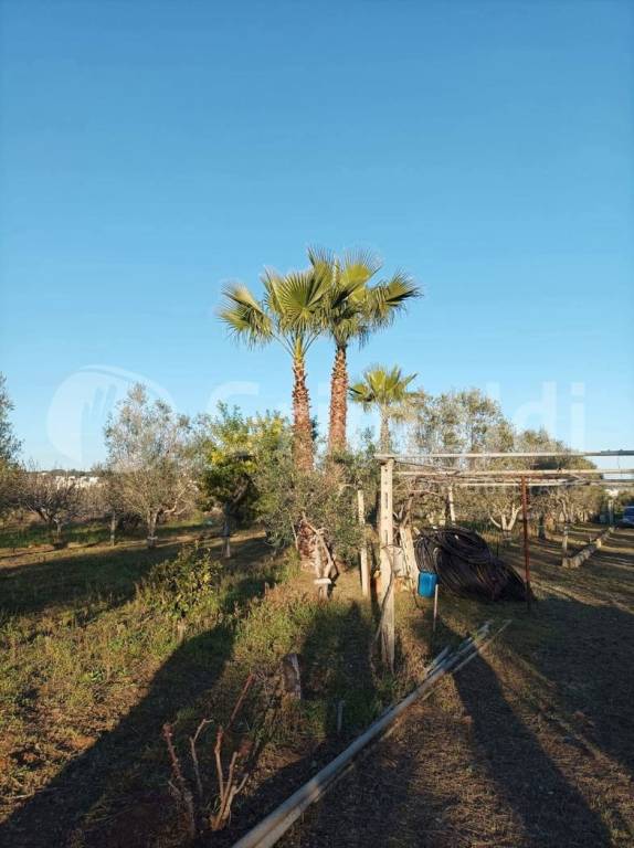 immagine annuncio 4 di 9