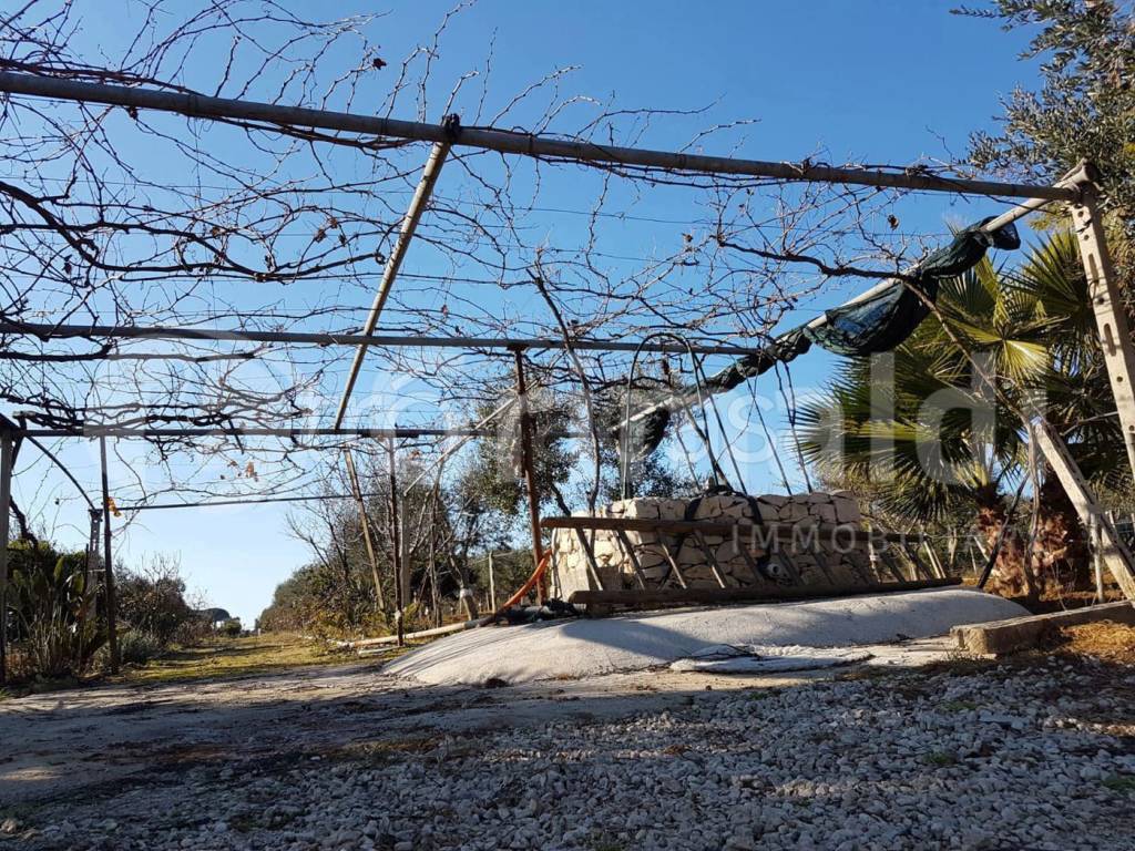 immagine annuncio 8 di 9