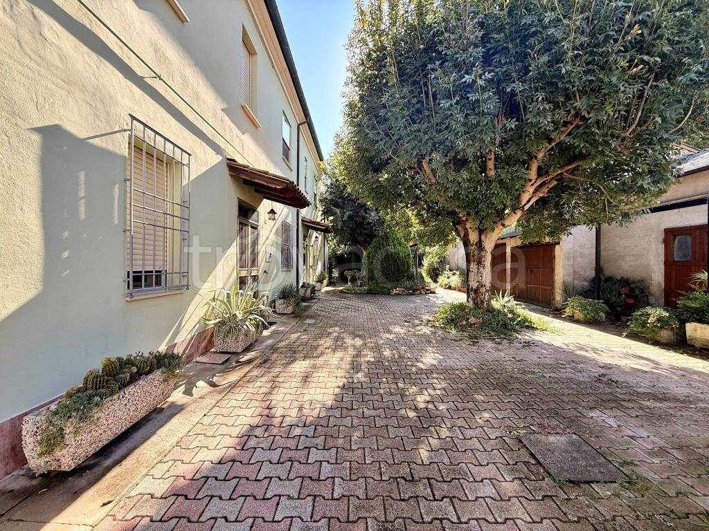 immagine annuncio 2 di 14