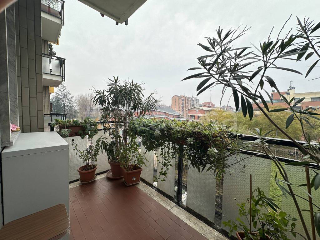 immagine annuncio 8 di 15