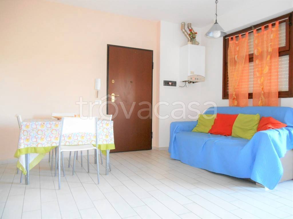 immagine annuncio 1 di 12