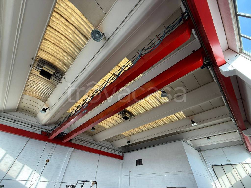 immagine annuncio 9 di 15