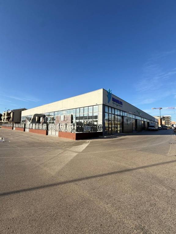 immagine annuncio 2 di 9