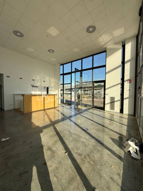 immagine annuncio 4 di 9