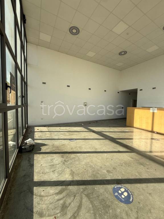 immagine annuncio 7 di 9