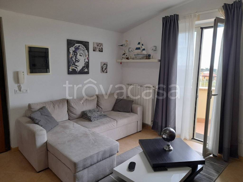 immagine annuncio 4 di 15