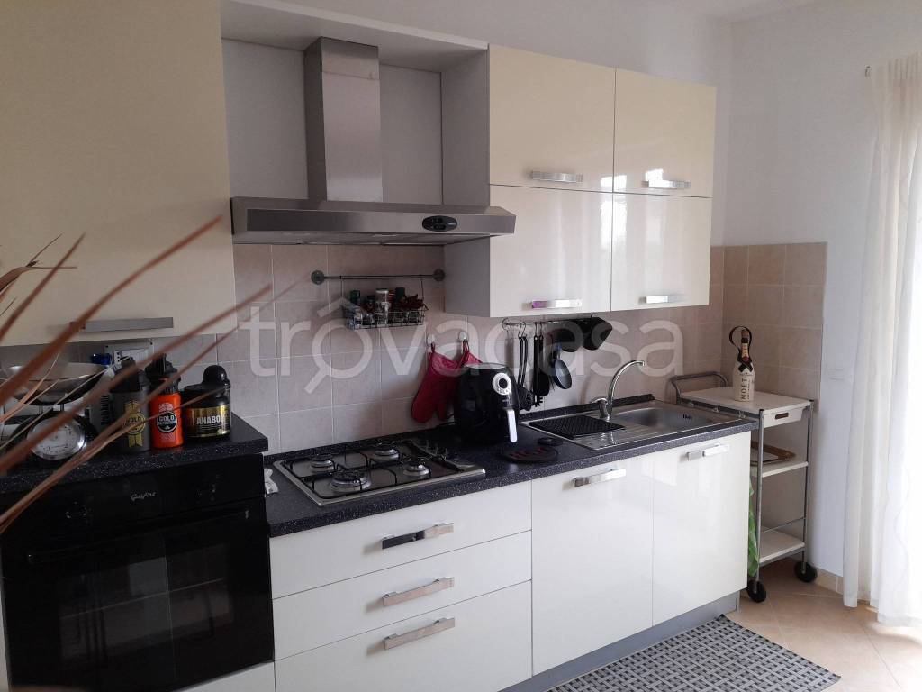 immagine annuncio 6 di 15