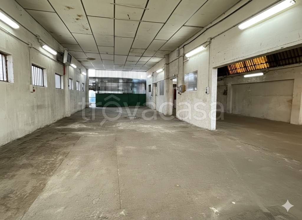 immagine annuncio 2 di 8