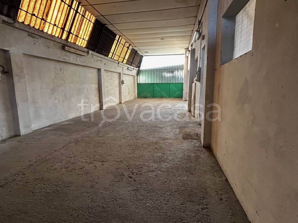 immagine annuncio 5 di 8