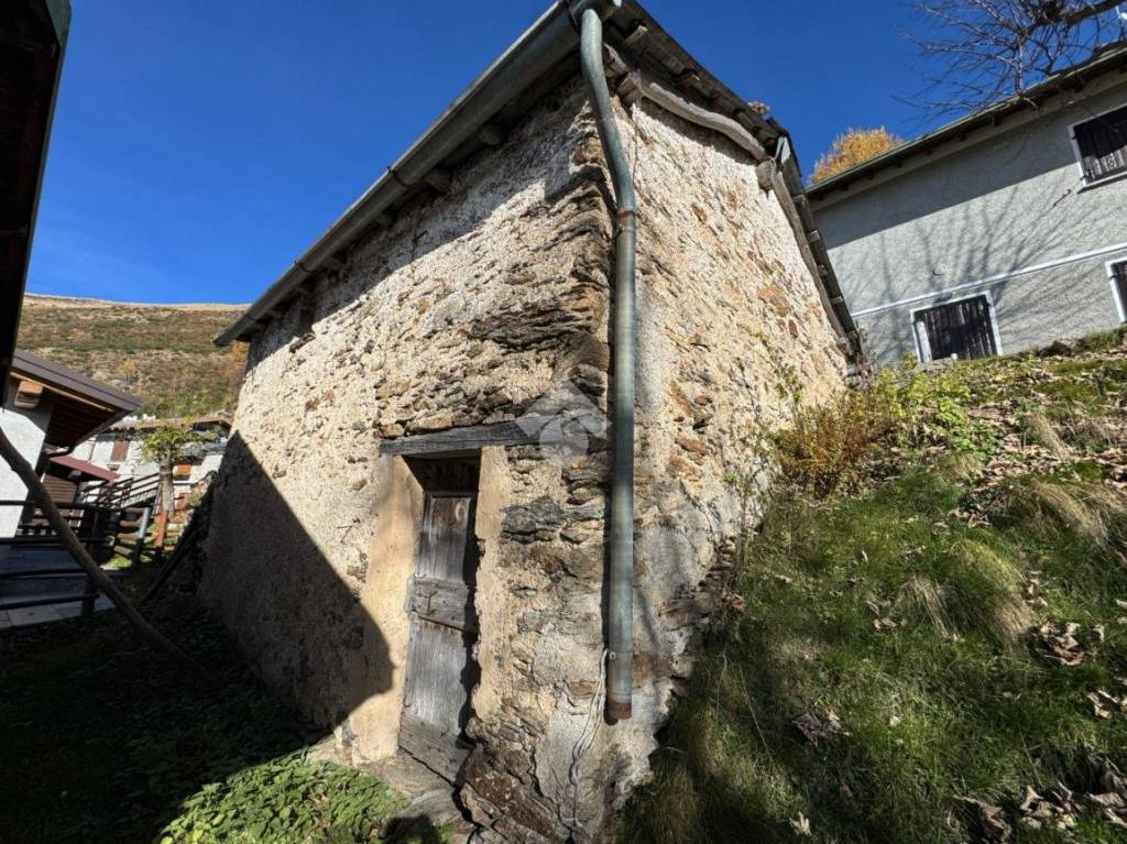 immagine annuncio 1 di 8