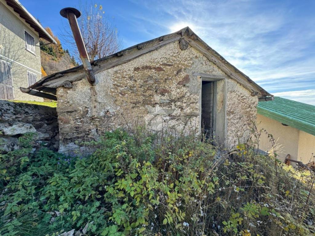 immagine annuncio 2 di 8