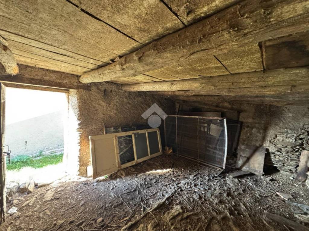 immagine annuncio 5 di 8