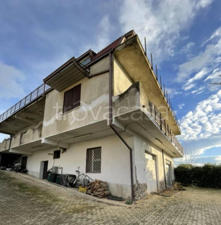 immagine annuncio 2 di 13