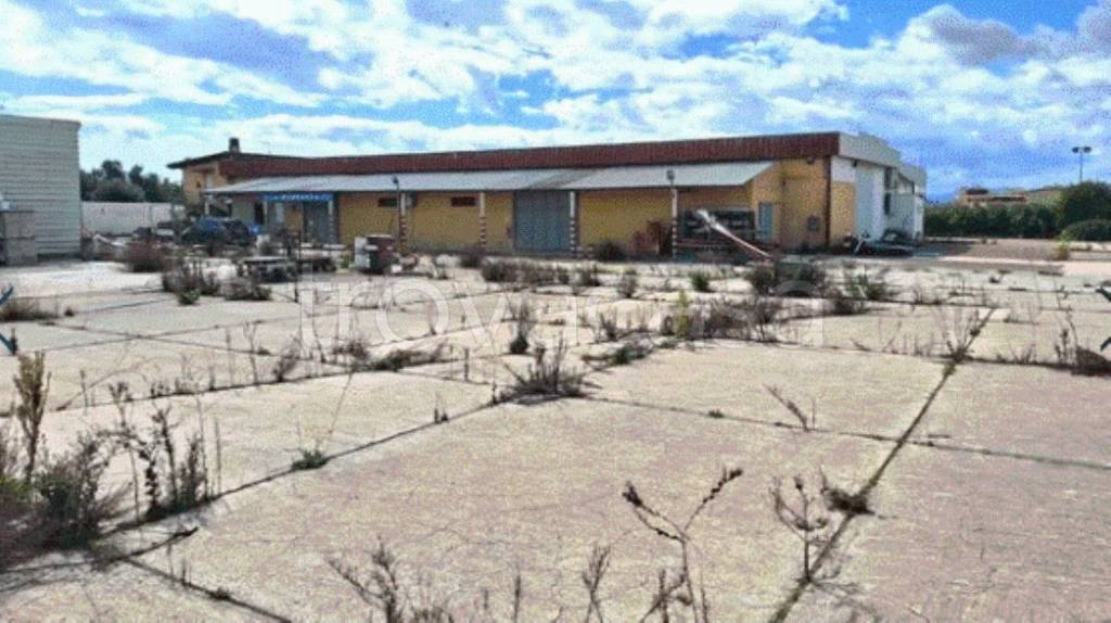 immagine annuncio 5 di 13