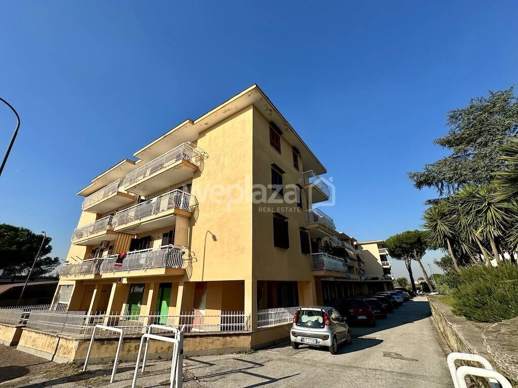 immagine annuncio 5 di 12