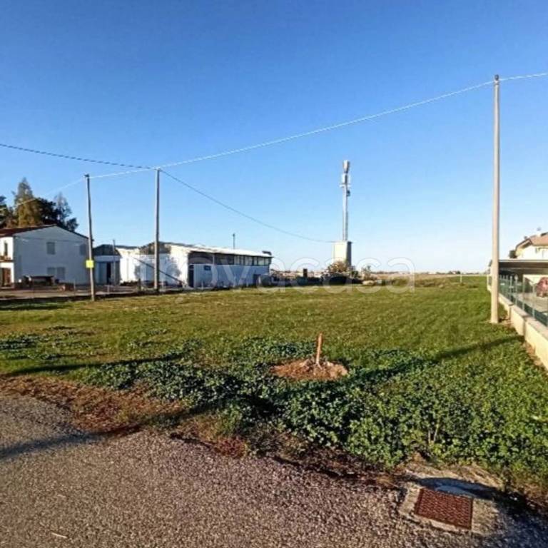 immagine annuncio 2 di 6