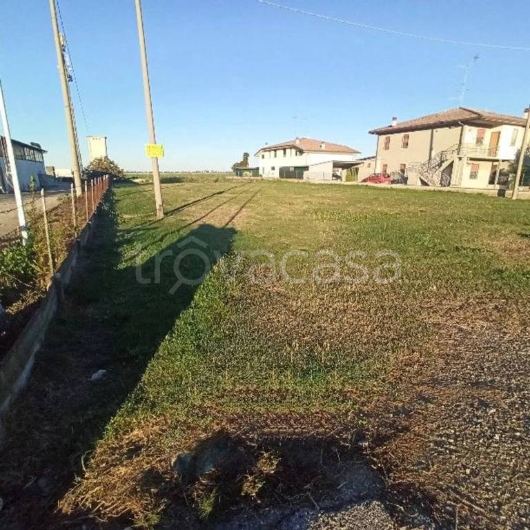 immagine annuncio 5 di 6