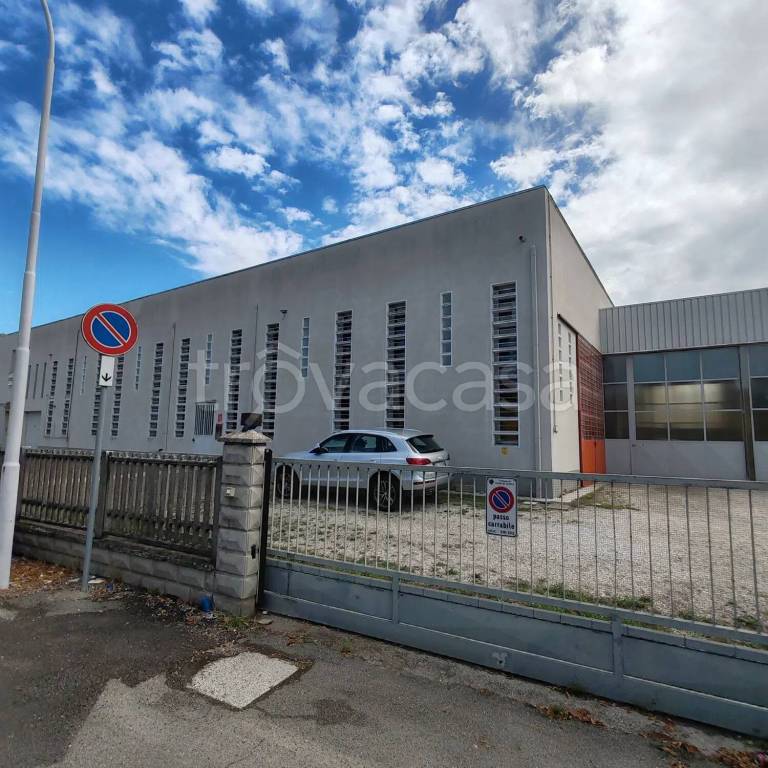 immagine annuncio 3 di 15