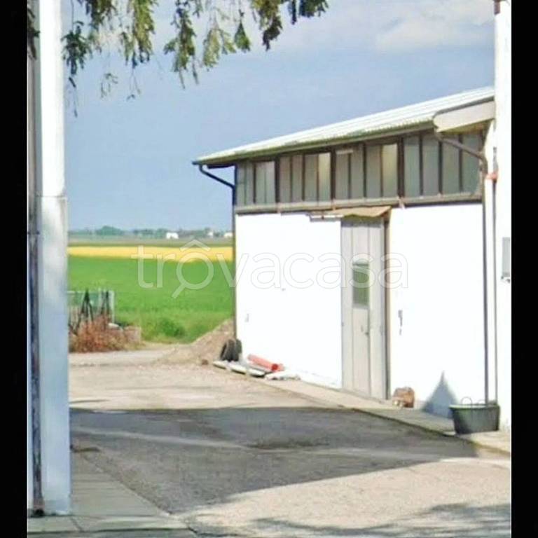 immagine annuncio 3 di 4