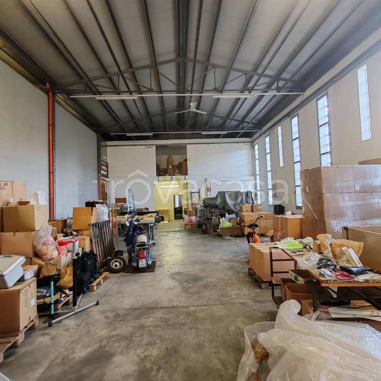 immagine annuncio 9 di 15