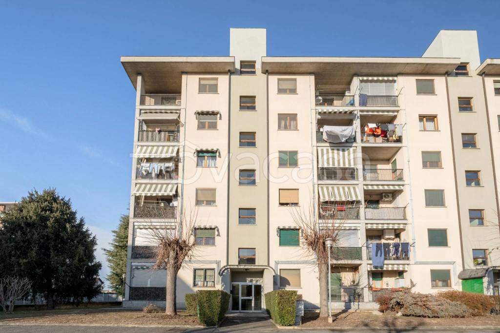 immagine annuncio 5 di 15