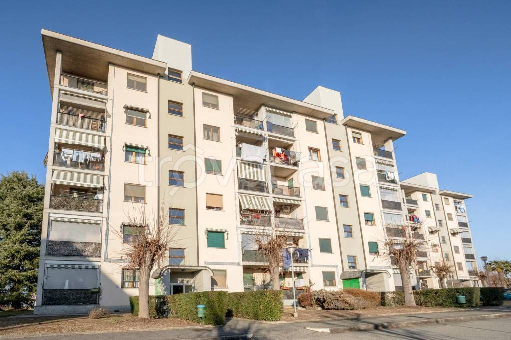 immagine annuncio 6 di 15