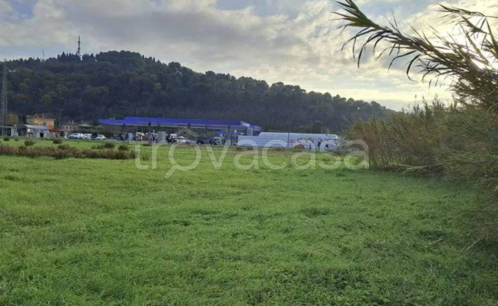 immagine annuncio 3 di 12