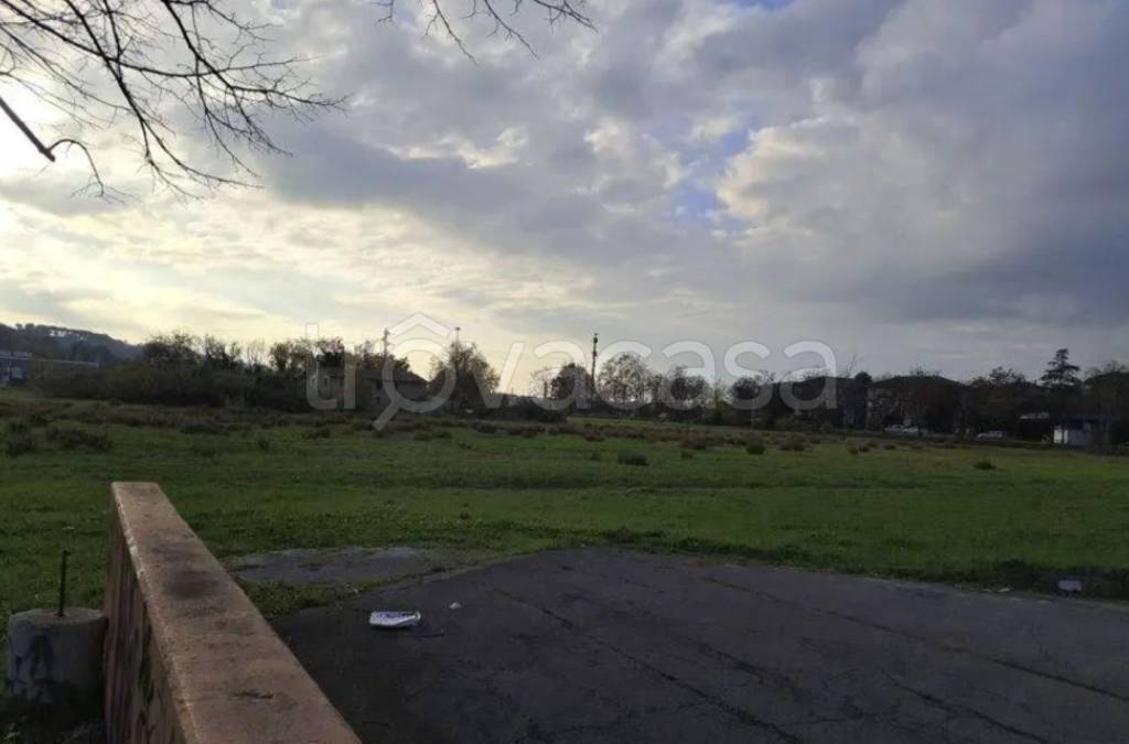 immagine annuncio 6 di 12