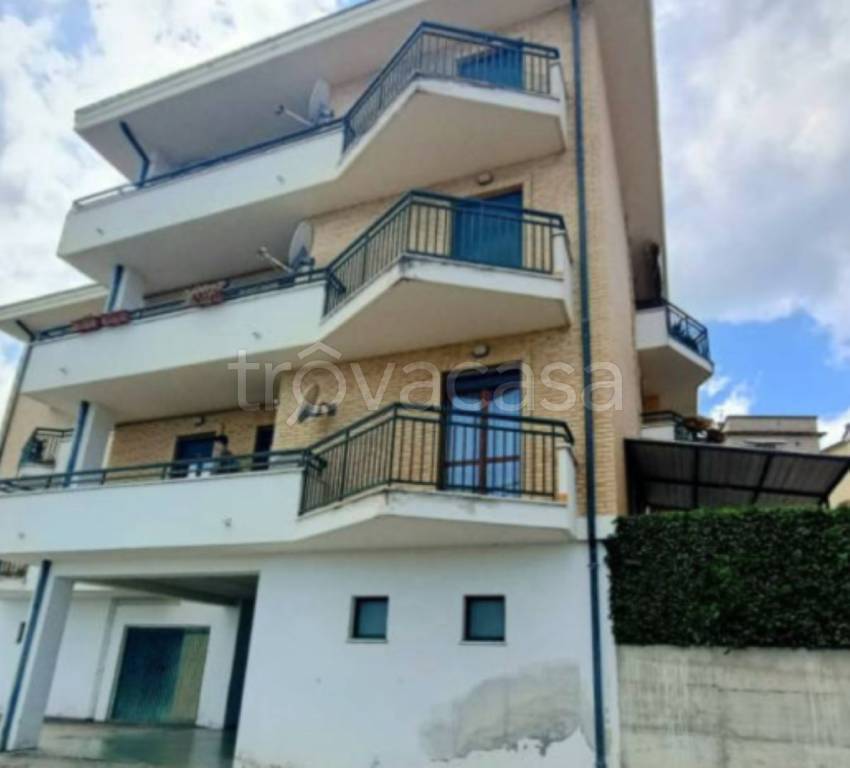 immagine annuncio 2 di 14