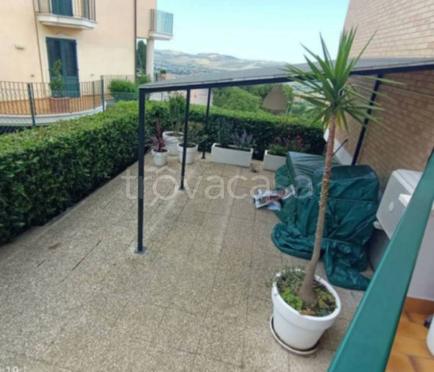 immagine annuncio 12 di 14